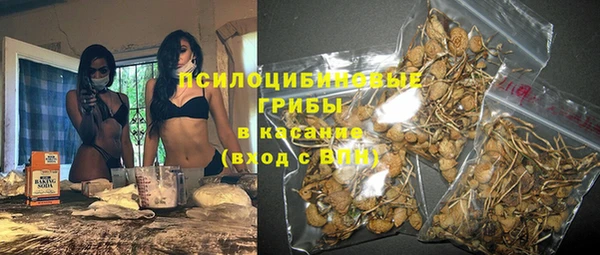 МДПВ Абдулино
