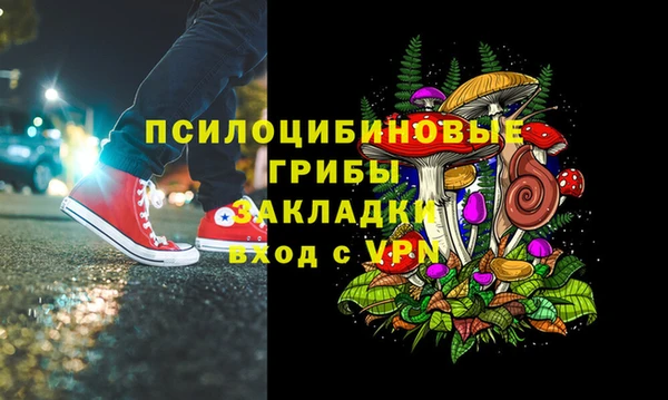 МДПВ Абдулино