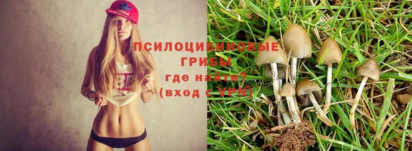 МДПВ Абдулино