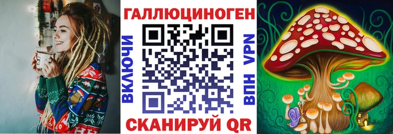 KRAKEN зеркало Усмань Галлюциногенные грибы GOLDEN TEACHER